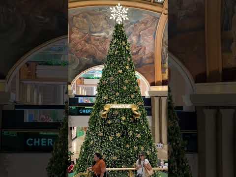 Es increíblemente enorme el árbol de navidad de las Galerías Pacífico #shorts #buenosaires