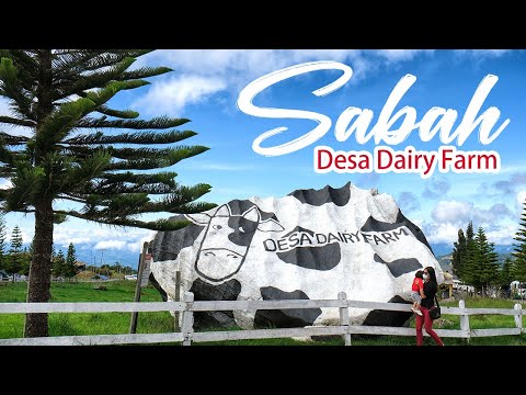 【Sabah Travel】 Desa Dairy Farm 2022 | Kundasang | Sabah