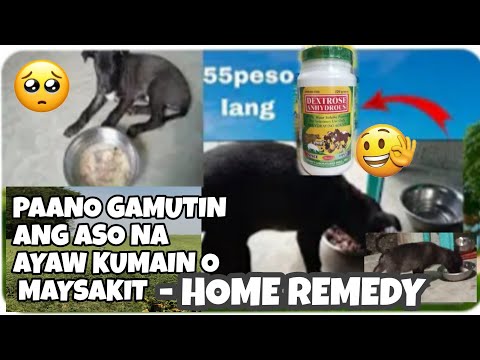 PAANO GAMUTIN ANG ASO NA AYAW KUMAIN O MAY SAKIT , HOME REMEDY