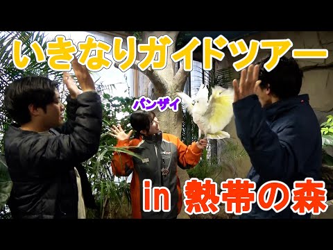 【長崎バイオパークコラボ】いきなり！熱帯の森ガイドツアー