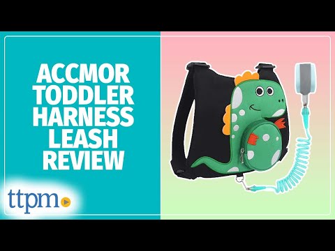 Dinosaur 3 in 1 Toddler Harness Leash from Accmor Review!