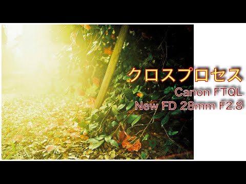 【クロスプロセス】ポジフィルムのPROVIA 100F を「クロス現像」の作例 / Canon FT QL  / New FD 28mm F2.8 / フィルムカメラ / フィルム写真