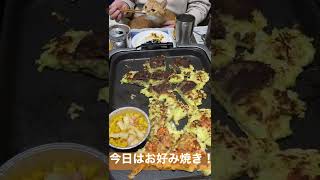 【猫】大家族の夕飯「お好み焼き」【晩ご飯】#shorts