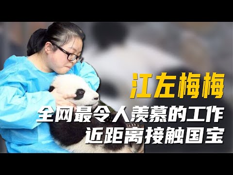 她有全网最令人羡慕的工作，国宝大熊猫想撸就撸，掌握熊宝初吻权【超GE娱乐】