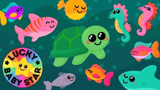 🐢Under the Sea Safari 🐡 Baby Sensory Ocean Adventure with Colourful Sea Creatures 🌊