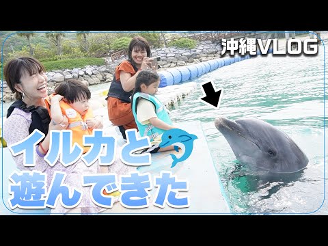 【子供も大喜び】イルカと触れ合って大はしゃぎ！沖縄を大満喫してきました🐬