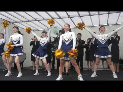 神田小川町ライブイベントワクワクFesta2017① DIAMONDS 明治大学応援団バトン･チアリーディング部JESTERS