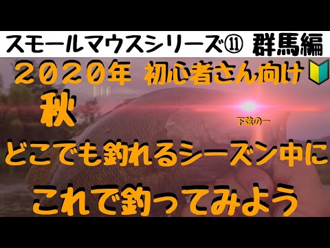 【川スモールマウスバス釣り　シリーズ⑪　群馬編】何処でも釣れるシーズン到来!!初心者さんはこのリグだけでオッケーです👍smallmouth bass