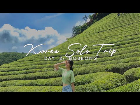 KOREA SOLO TRIP EP2: A Day In Boseong 🌿 | sunnysheryl