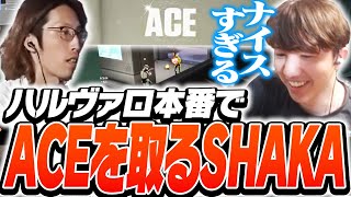 【ハルヴァロ】本番でACEを取りチームを勝利に導くSHAKA【VALORANT】