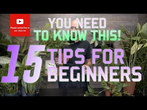 You need to know this! 15 🪴tips for beginners