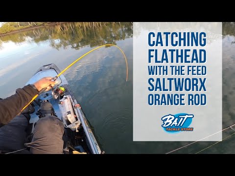 Bait Tackle Store: Catching Flathead with the Feed Saltworx Orange Rod