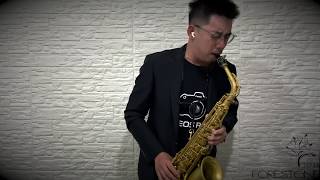 萬芳 - 新不了情 Saxophone Cover by 鬍子薩克