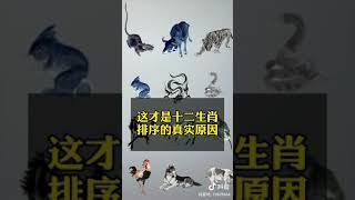 12生肖排序源由