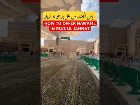 HOW TO OFFER NAWAFIL IN RIAZ UL JANNAT | Riaz Ul Jannat | Riaz Ul Jannah | #umaisavlogs #religion