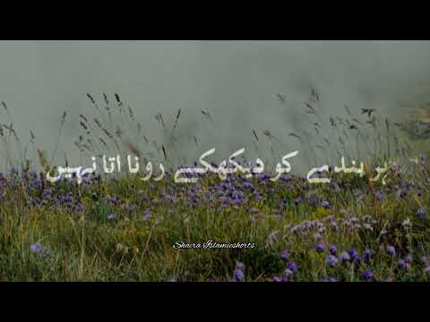 Insaan Ki Qurbat 🥀 | Islamic WhatsApp Status |