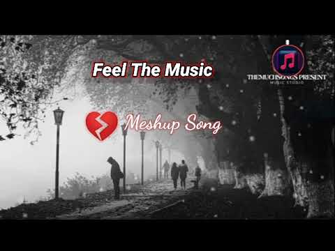 Best_Collection_Song_Hindi || Feel The Music || Meshup Song || Ankit , Palak , Shreya ,