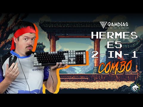 Combo's always slap in fighting games so why not? - Gamdias Hermes E5 Combo Review