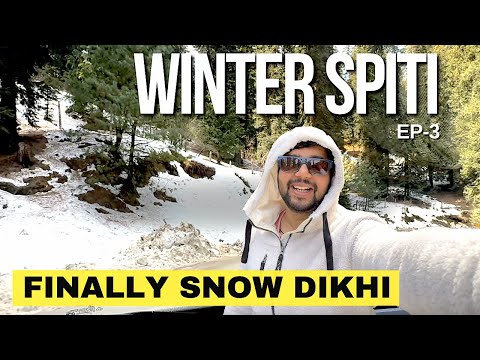 -15°C Camping | Winter Spiti 2024 | Car Camping in Reckong Peo Himachal #camping #spiti