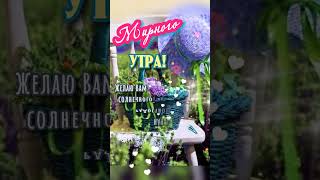 Доброго утра! 🌸🌿💮