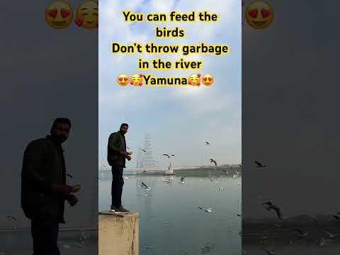 Climax🥰,Yamuna river🥰🥰