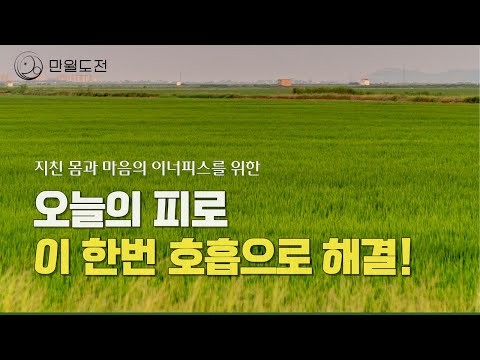 잘 자고 싶다면 꼭 들어보세요: 감사와 치유의 호흡 명상 | 자기 전 힐링 명상 루틴 | 만월도전TV 선도명상