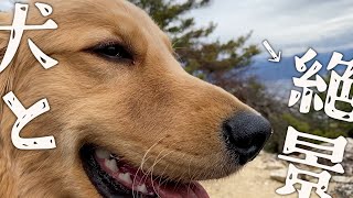 ゴールデンレトリバーの子犬を連れて絶景スポットまでプチ登山！