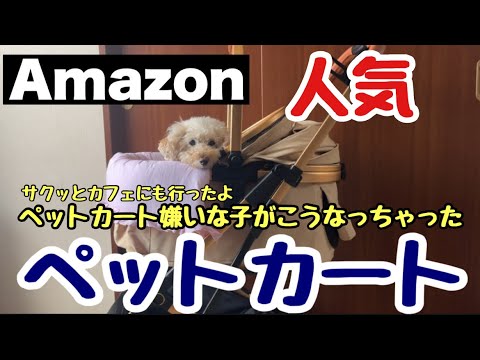 テラスokなサクッとカフェへ＆分離型ペットカートを買ってみた【Angelpet】コスパ最高☺️💓