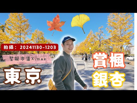 東京銀杏不追會後悔+聖誕市集 東大PK昭和公園 🆈 yy生活誌