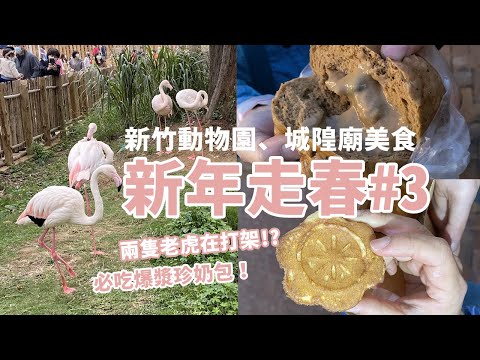 新年走春#3 | 新竹動物園、城隍廟美食，兩隻老虎在打架？！必吃爆驚珍奶包，神秘鴨蛋糕的滋味如何？| Ella Lin