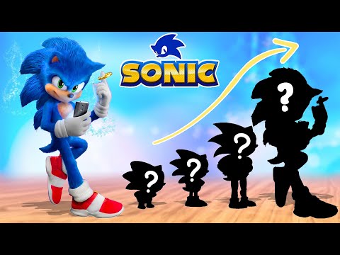 Sonic BOOm New Part 2024 Growing Up - Life After Happy End Compilation | Cartoon Wow