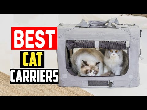 ✅Top 5 Best Cat Carriers of 2024