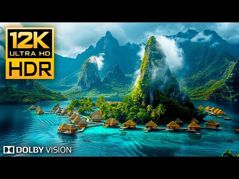 Discover the HIDDEN Beauty of NATURE in 12K HDR 120fps Dolby Vision