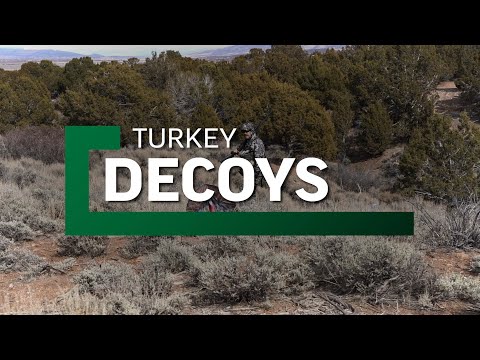 Turkey Decoy Roundup