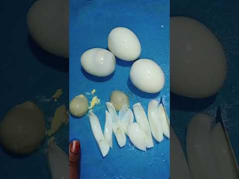 Boiled Egg Fry #boiledegg #food #cookingrecipes #youtubeshort #subscribe #shivashivani'skitchen