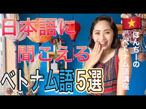 【ベトナム人が教える】日本語に聞こえる言葉編‼️初心者向け超絶簡単😏ほんちーのベトナム語🇻🇳講座