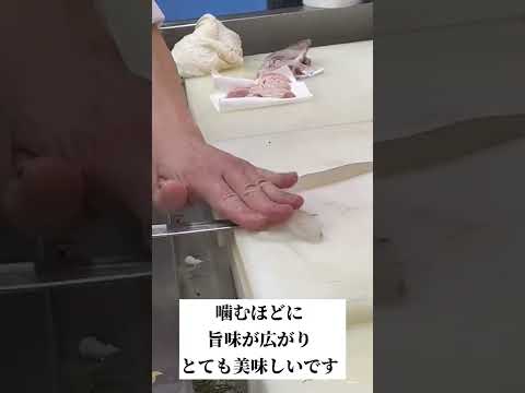 遊食房屋の生簀