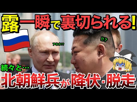 【ゆっくり解説】ロシア一瞬で裏切られる！？嘘を伝えられたまま北朝鮮兵がウクライナ戦争の最前線へ！北朝鮮兵の末路とは・・【ゆっくり軍事プレス】