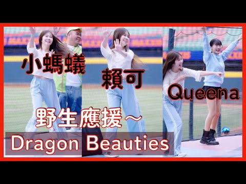 【Dragon Beauties】野生賴可 Queena 小螞蟻一起勝利飛船～ │ 20241208 中華職棒冬季聯盟