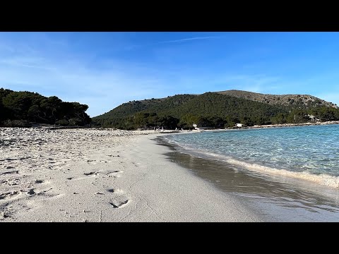 Strandliebe I Cala Agulla I Cala Ratjada I Majorca