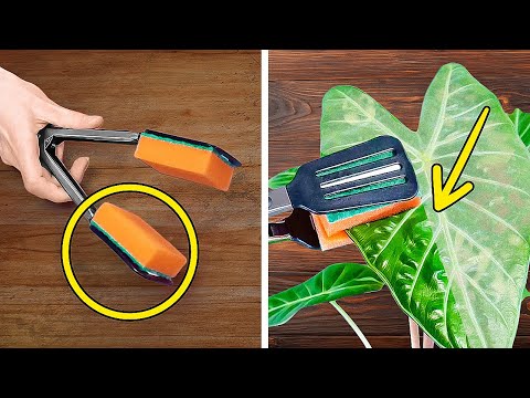 Garden Magic: Unbelievable Planting Tips You Can't Miss! Gardening hacks.