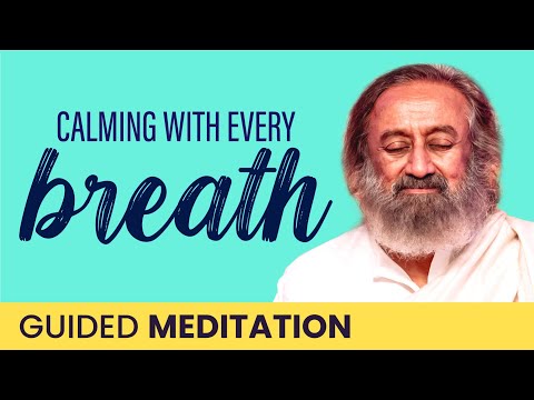 Experience Calm with Every Breath! Guided Meditation | Gurudev