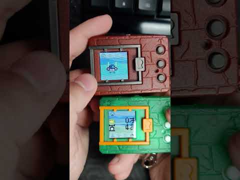 Quick Comparison Between The Version 1 And 5 Digimon Color!