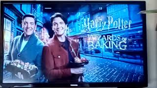 SERIES PREMIERE Harry Potter: Wizards of Baking Premieres Thursday November 14th at 8 ☄️