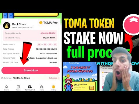 Tomarket Farmingpool Stake DuckChain | $TOMA to $DUCK Withdrawal Process | TOMA Pool Airdrop Details