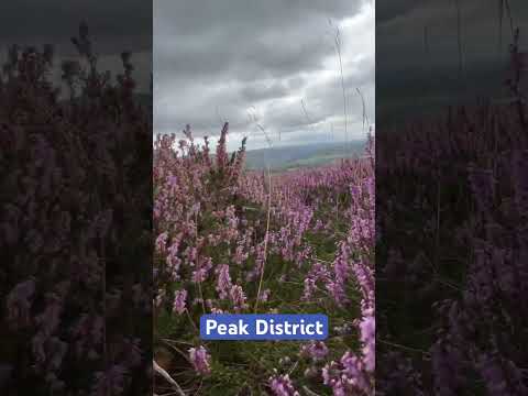 Peak District - Bamford Edge #peakdistrict #peakdistrictnationalpark #bamford