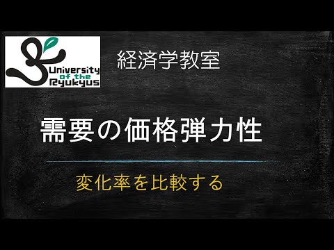 需要の価格弾力性(No62)その言葉の意味と、数式での記述方法を解説