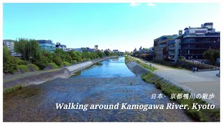 京都鴨川散步（22分鐘一鏡到底）｜日本旅遊 4K ASMR