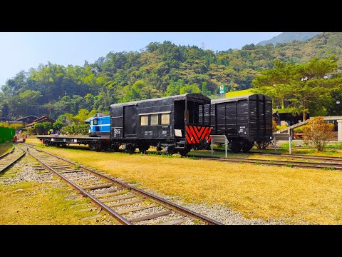 秋遊 - 南投最美麗火車站-車埕站、車埕木業展示館、武岫農圃-欣賞銀杏森林