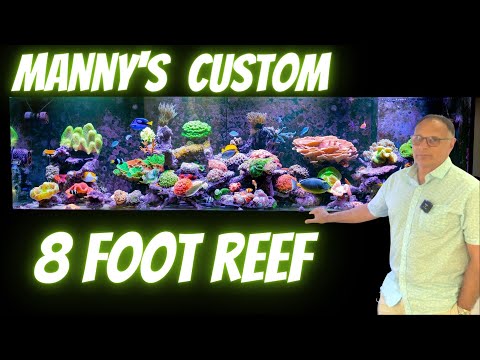 Manny's Custom 8ft Mixed Reef